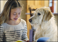 free rainbow bridge bookmark