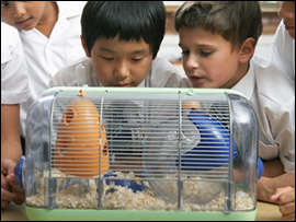 Humane Education