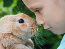 Pet Education Programs