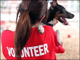 Pet Education Programs